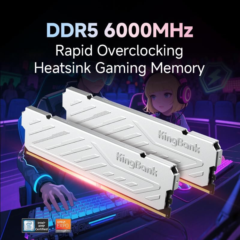 KingBank KJXS DDR5 RAM 8GB/16G - Ddr5 16Gb 6000Mhz のレビューと価格