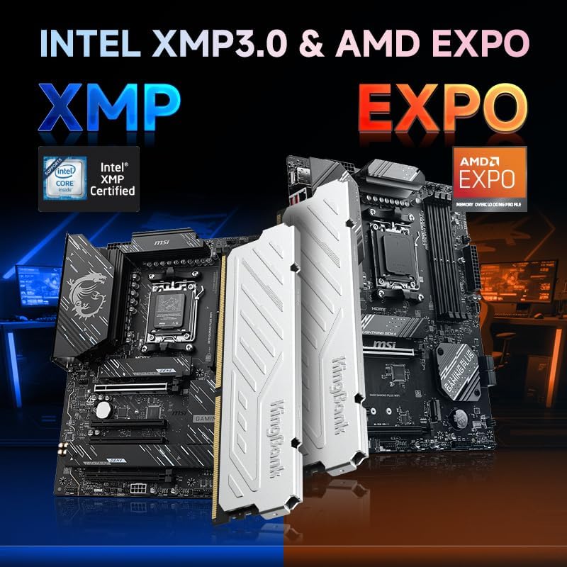 KingBank KJXS DDR5 RAM 8GB/16G - Ddr5 16Gb 6000Mhz のレビューと価格