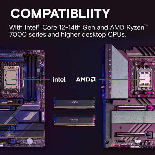 32GB DDR5 6000MHz RAMキット、16GBデ - Ddr5 Memory のレビューと価格
