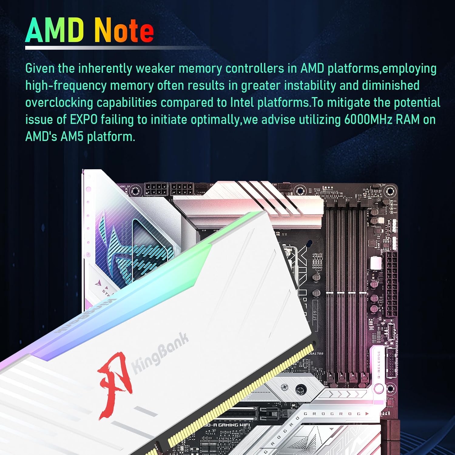 KINGBANK KRRW DDR5 RGB RAM 16G - Ddr5 16Gb 6000Mhz のレビューと価格