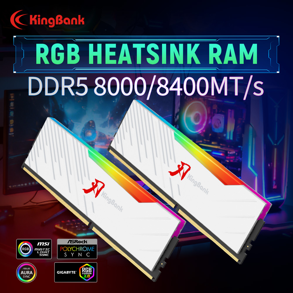 KINGBANK KRRW DDR5 RAM 48GB (2 - Ddr5 6000Mhz のレビューと価格