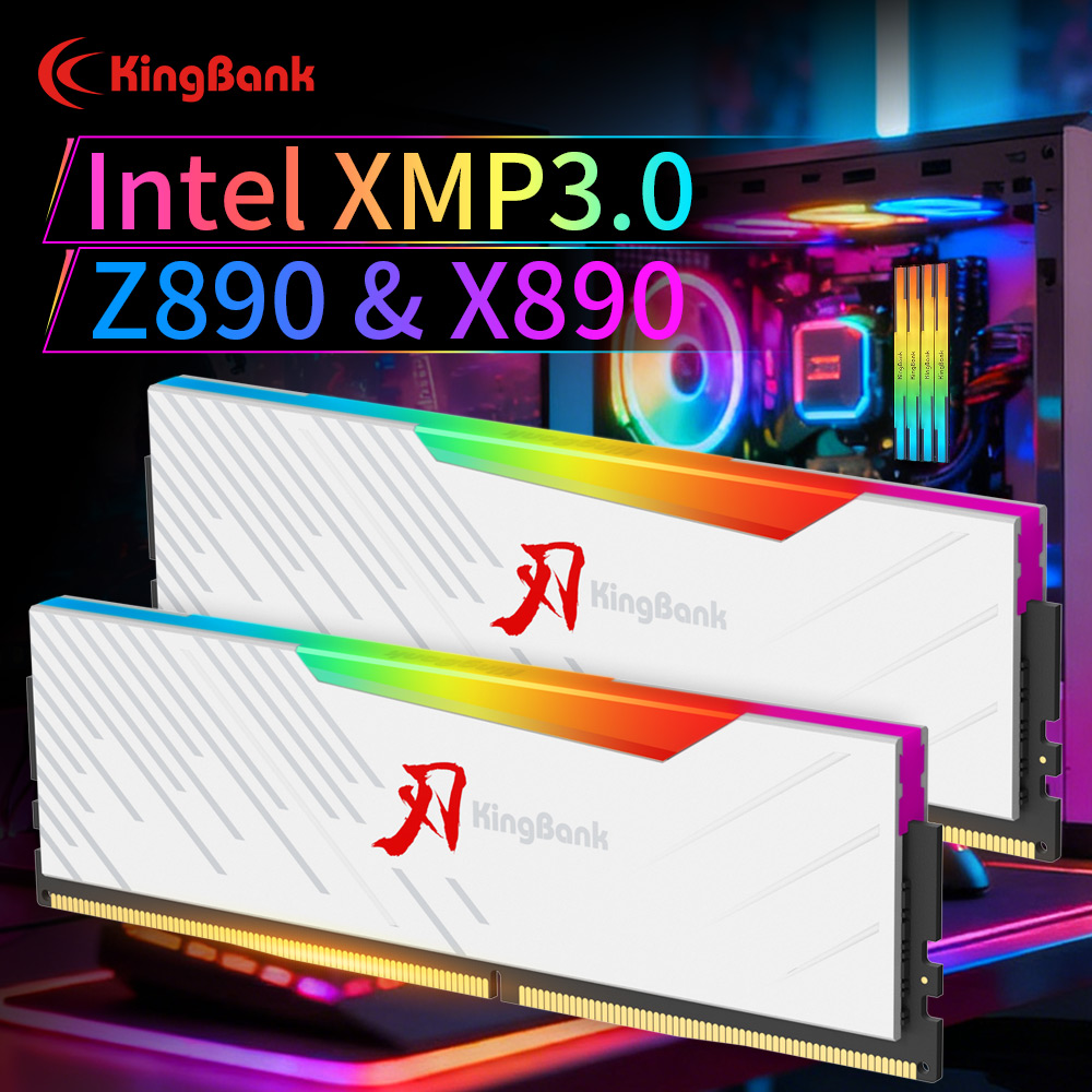 KINGBANK KRRW DDR5 RAM 48GB (2 - Ddr5 6000Mhz のレビューと価格